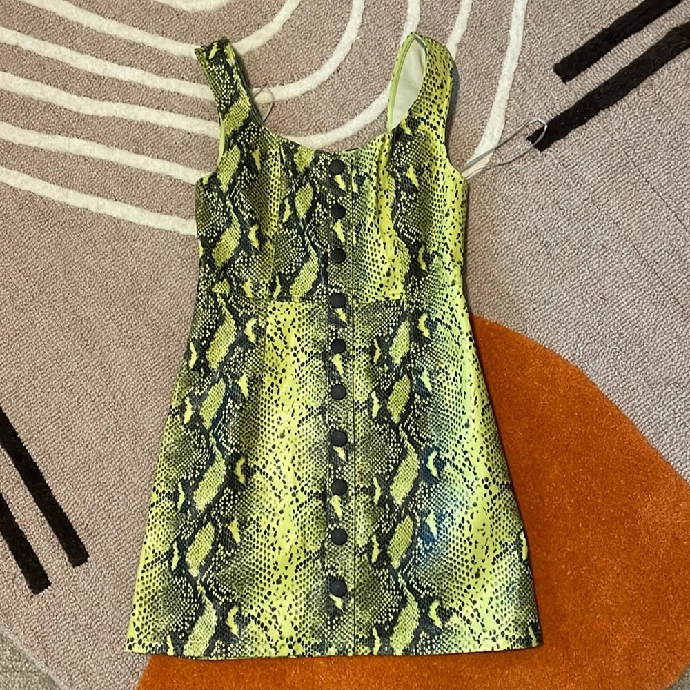 Wild Honey neon snakeskin dress
